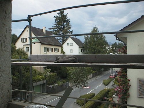 img0106.jpg (43625 bytes)