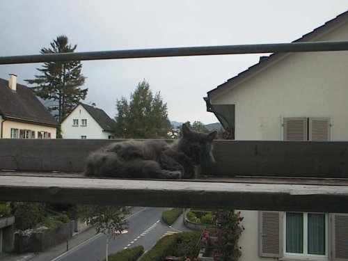 img0107.jpg (32966 bytes)