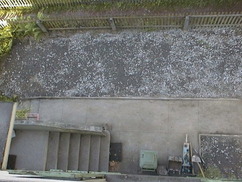 IMG0027.jpg (55697 bytes)