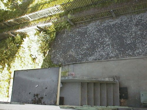 IMG0028.jpg (56071 bytes)